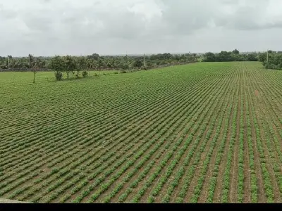 જમીન વેચવાની છે જમીન વેચવાની છે