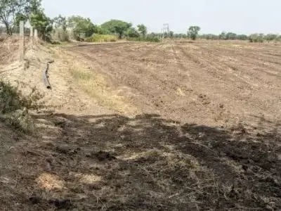 Agricultural Land 8 Vigha 5 Guntha with Well Agricultural Land 8 Vigha 5 Guntha with Well