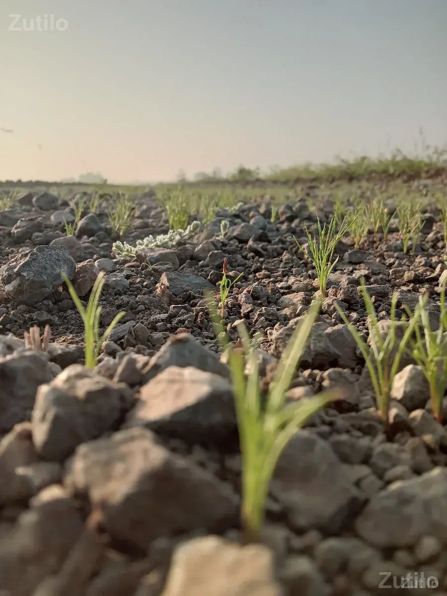 ૧૫ વીઘા છે - Land & Plots - Gandhinagar City - Image 1