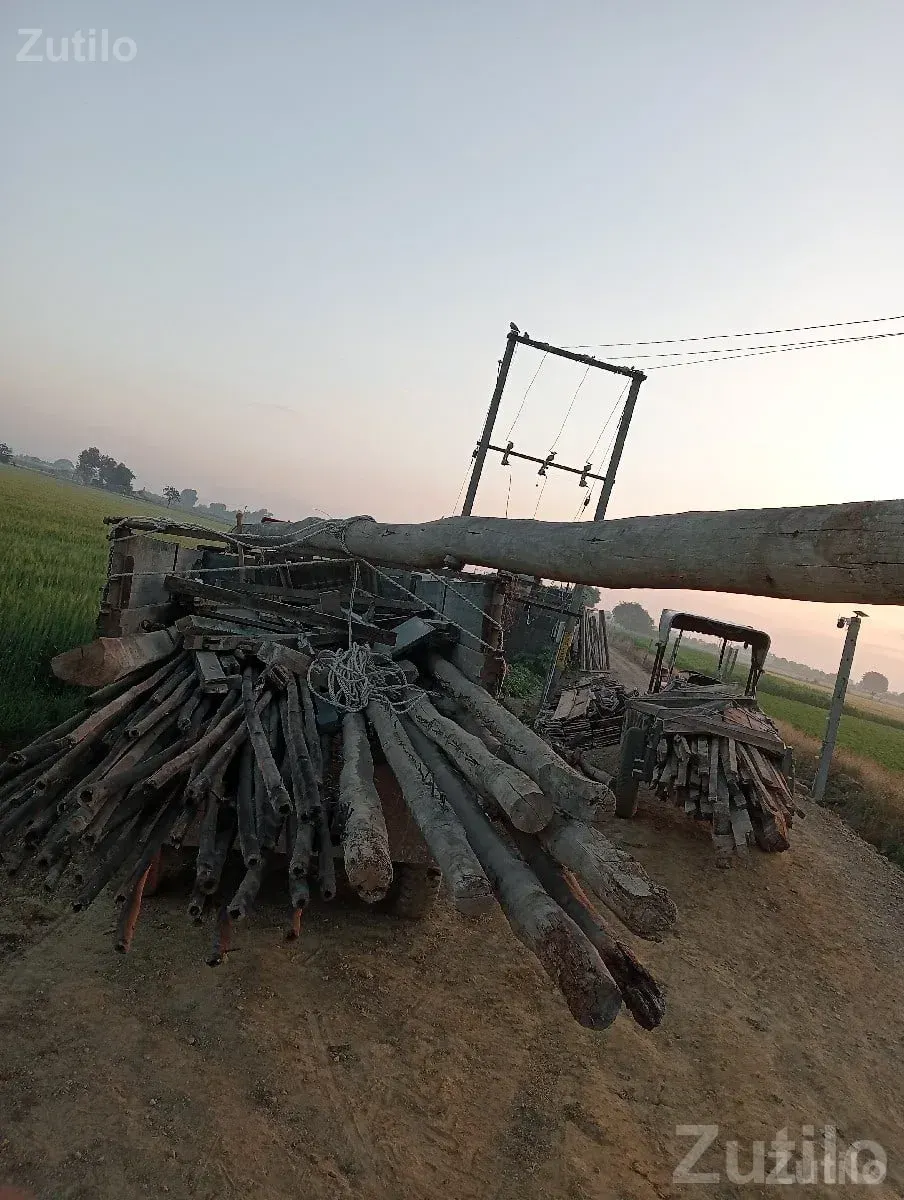 Old House Roof Structure for Sale - House for Sale - Mangrol - Image 3