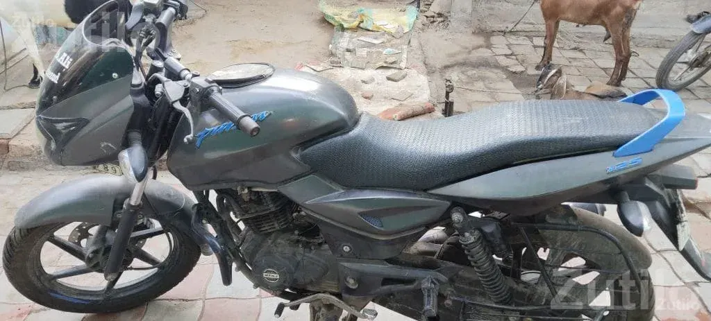 Bajaj Pulsar 125 2019 Model Bike - Bikes - Umreth - Image 3