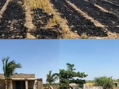 14 Vigha Farm Land with House & Pond 14 Vigha Farm Land with House & Pond