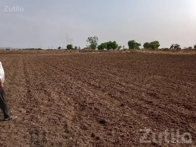 Fertile Agricultural Land in Dhari - જમીન અને પ્લોટ - ધારી - Image 1
