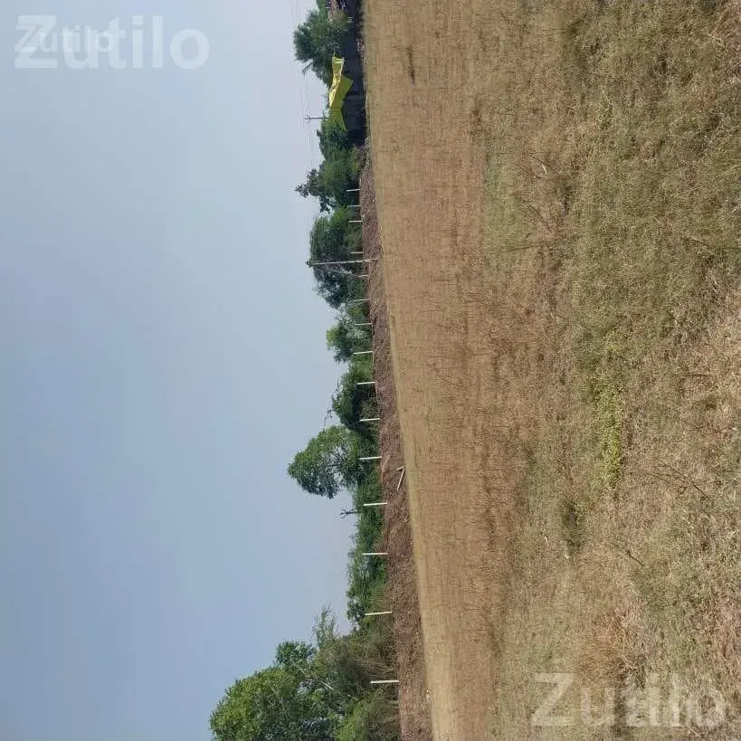 9 Vigha Agricultural Land with Water and Fencing - જમીન અને પ્લોટ - કુંકવાવ - Image 5