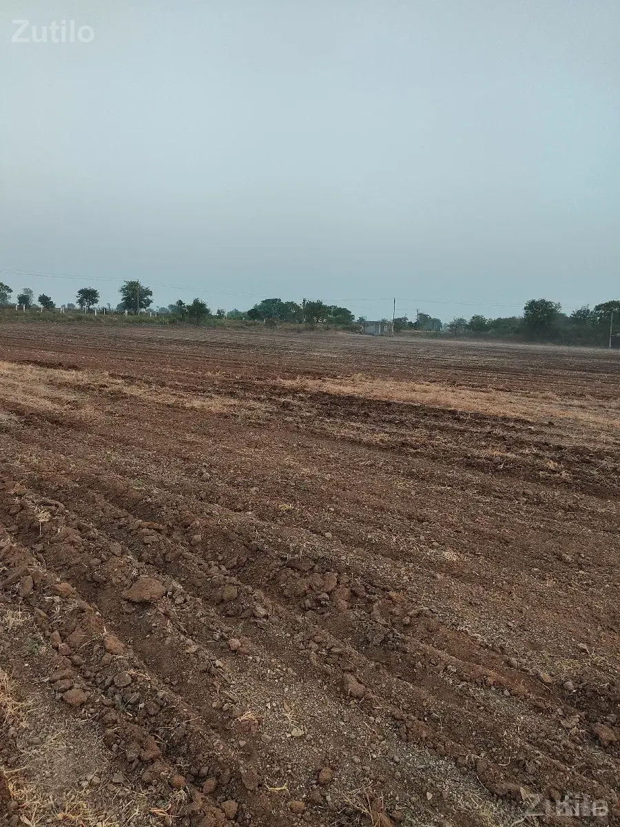 વેચાણ - જમીન અને પ્લોટ - ગોંડલ - Image 3