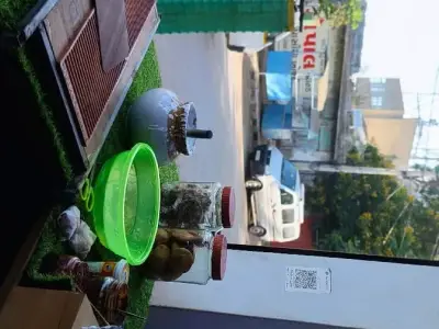 Running Paan Shop for Rent in Lalpur Running Paan Shop for Rent in Lalpur