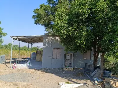 ચોકલી ગામ રોડ ટચ ચોકલી ગામ રોડ ટચ