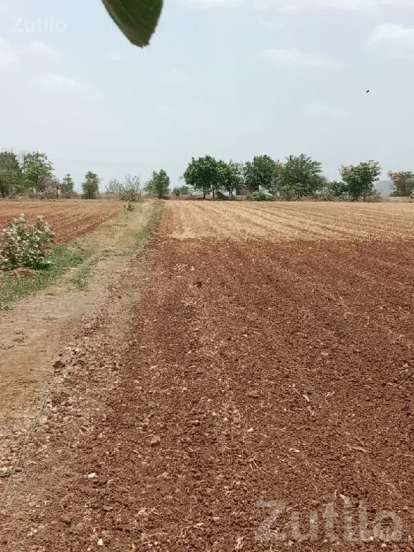 Road Touch Fertile Agricultural Land - જમીન અને પ્લોટ - ધોરાજી - Image 2