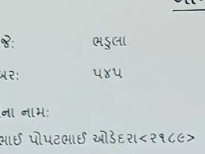 7 vigha 7 vigha