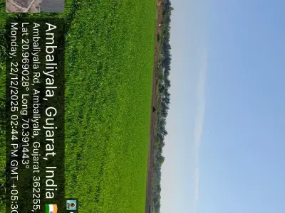 જમીન વેચવાની છે જમીન વેચવાની છે