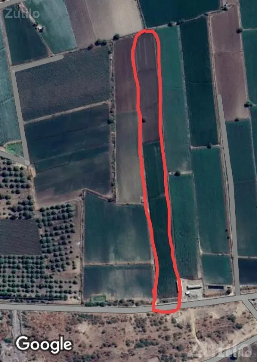 Upleta Roadside Agricultural Land Plot - Land & Plots - Upleta - Image 1
