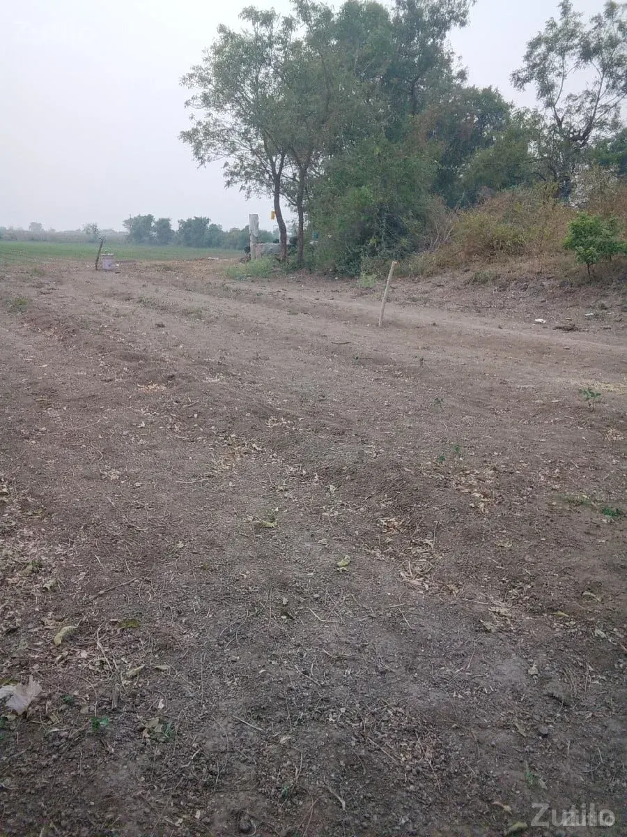 જમીન લેવા માટે મળો - Land & Plots - Upleta - Image 1