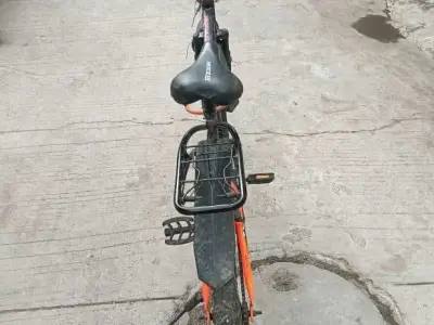 Adult Bicycle in Good Condition
