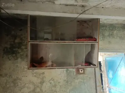 Wall Mounted Glass Storage Cabinet Wall Mounted Glass Storage Cabinet