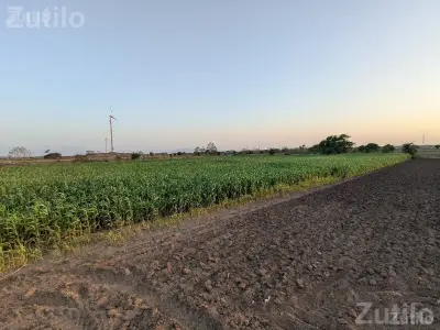 8 Vigha Agricultural Land for Sale 8 Vigha Agricultural Land for Sale