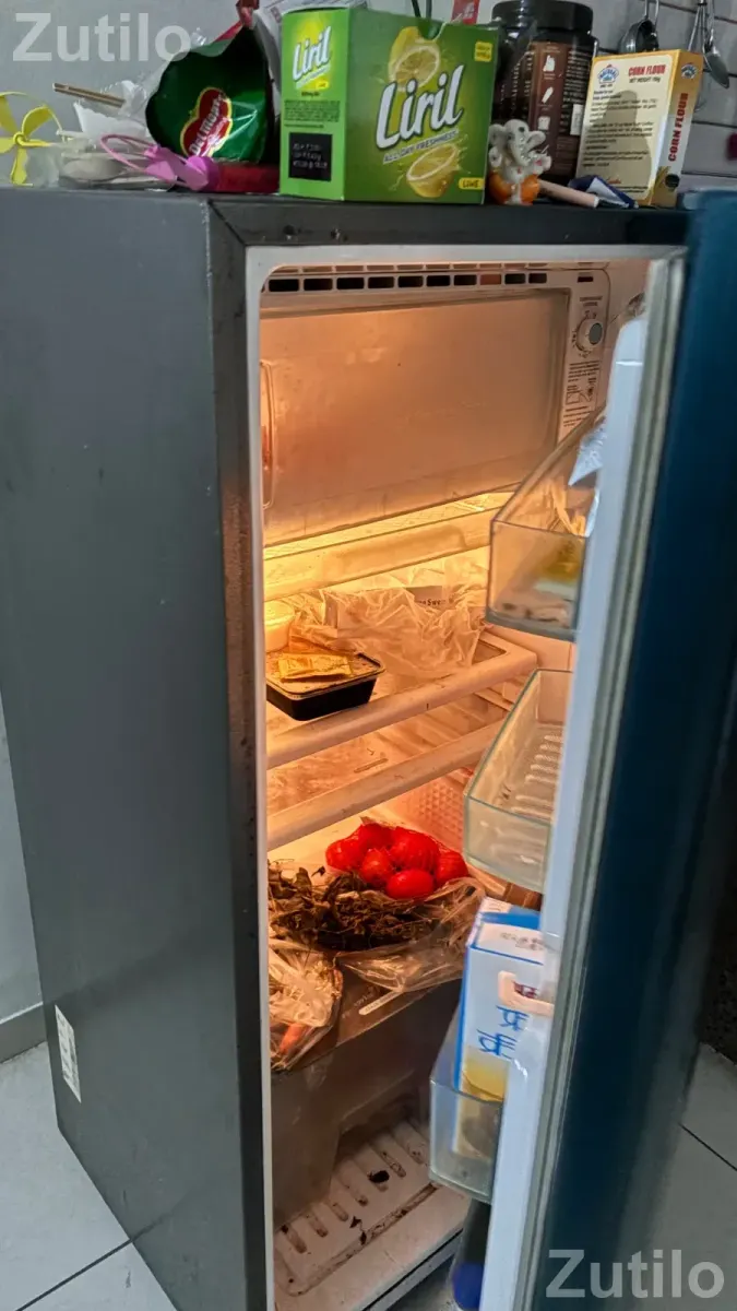 Refrigerator - Refrigerators - Waghodia - Image 2