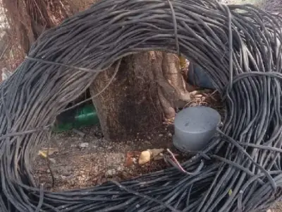 10mm Electrical Cable Coil 150 Feet 10mm Electrical Cable Coil 150 Feet