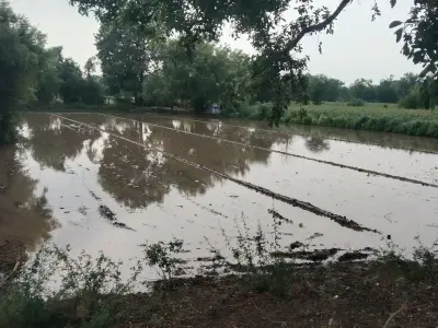 Agricultural Land Plot 125 Guntha