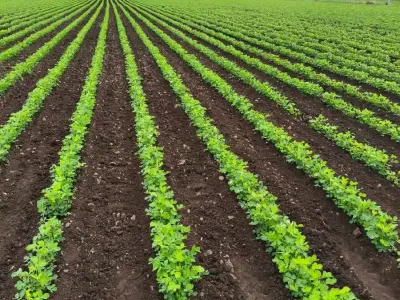 જમીન વેચવાની છે જમીન વેચવાની છે