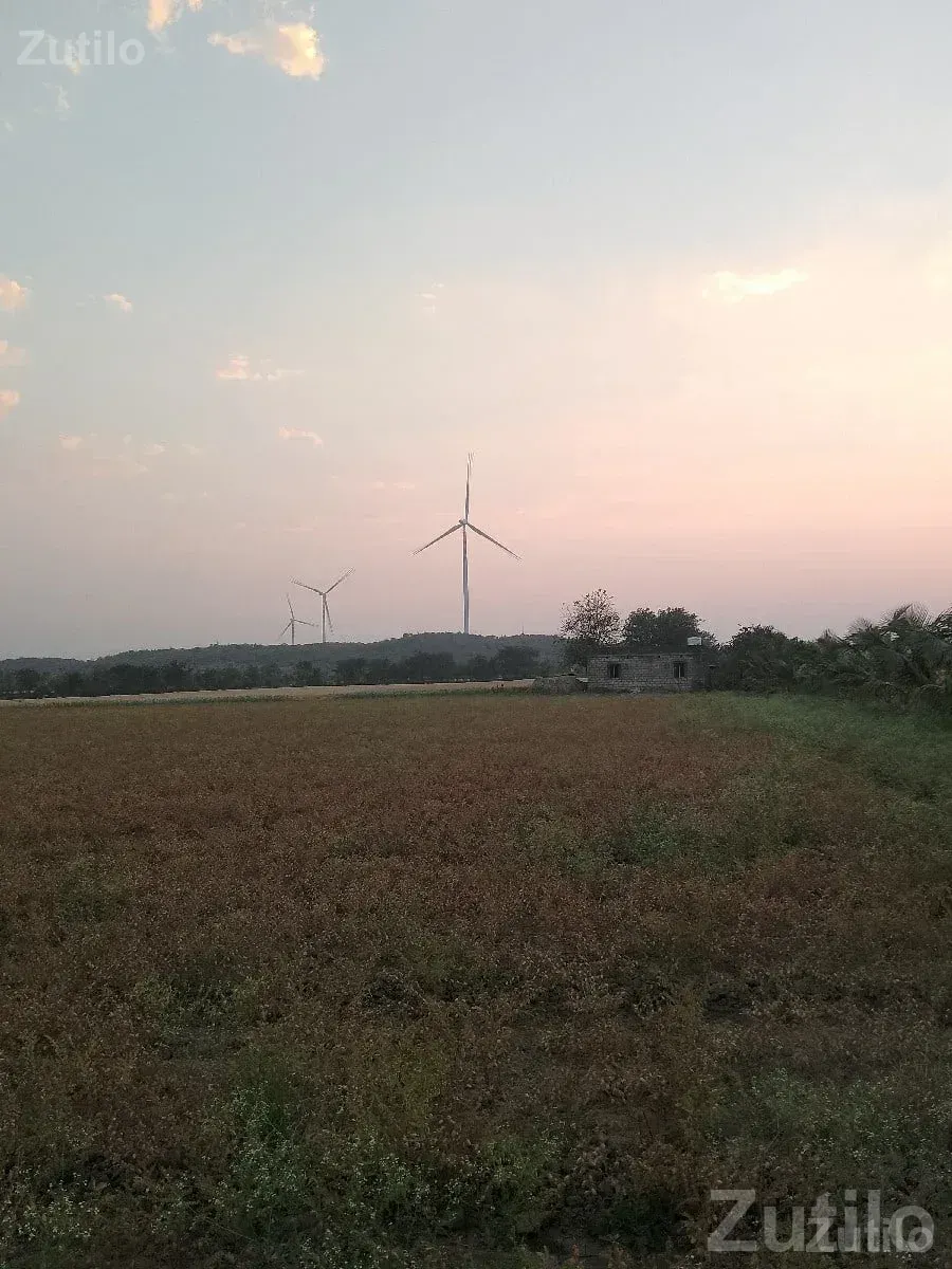 32 Bigha Irrigated Farm Land for Sale - Land & Plots - Upleta - Image 3