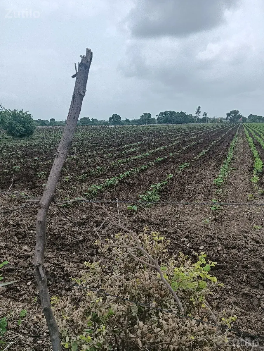 જમીન વેચવાની છે - Land & Plots - Vadodara City - Image 1