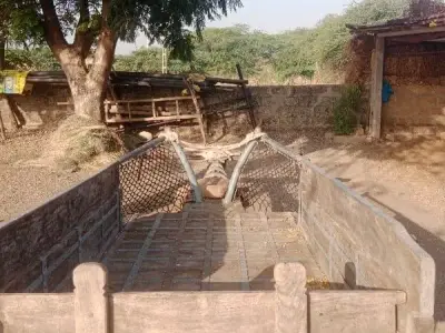Heavy Duty Wooden Bullock Cart Trailer Heavy Duty Wooden Bullock Cart Trailer
