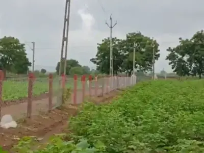 ખેતીની જમીન વેચવાની છે