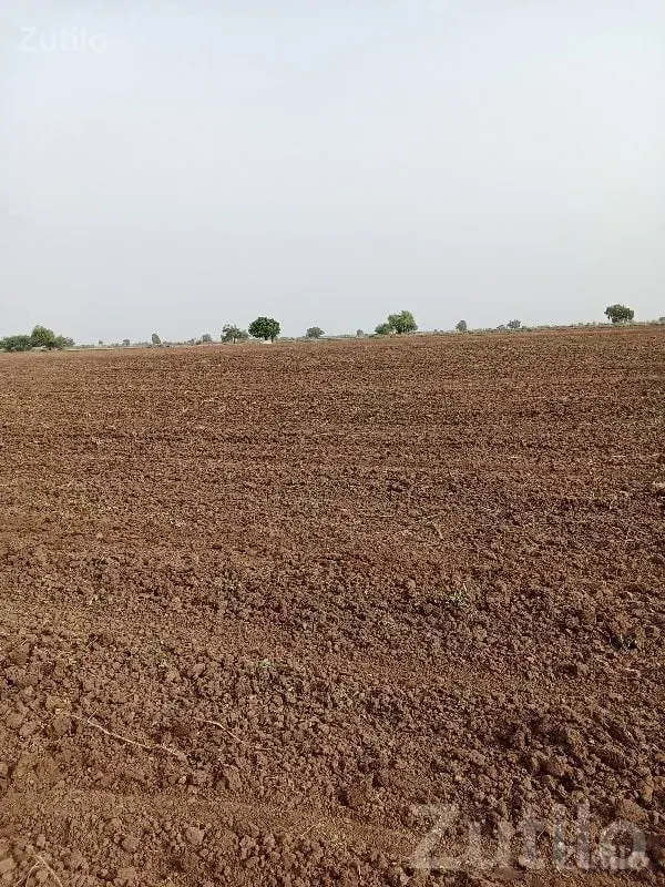 Savarkundla Agricultural Plot for Sale - Land & Plots - Savarkundla - Image 2