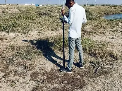 Professional Land Surveyor Service