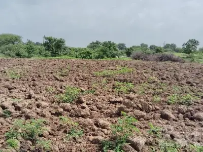 Fertile Agricultural Land in Mendarda Fertile Agricultural Land in Mendarda