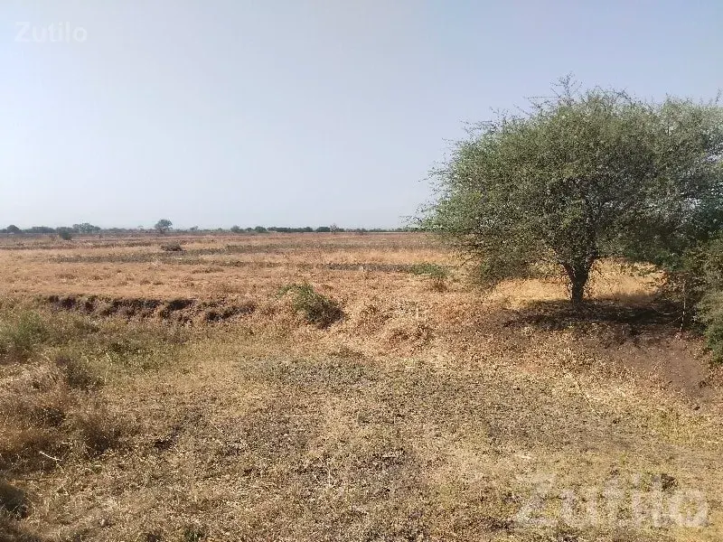 43 Vigha Agricultural Land for Sale - Land & Plots - Rajkot City - Image 1