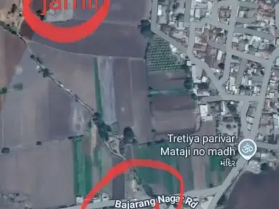 5 Vigha Old Tenure Land for Sale Near Village 5 Vigha Old Tenure Land for Sale Near Village