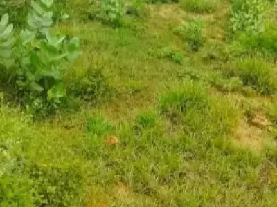 107 Var Residential Plot for Sale 107 Var Residential Plot for Sale