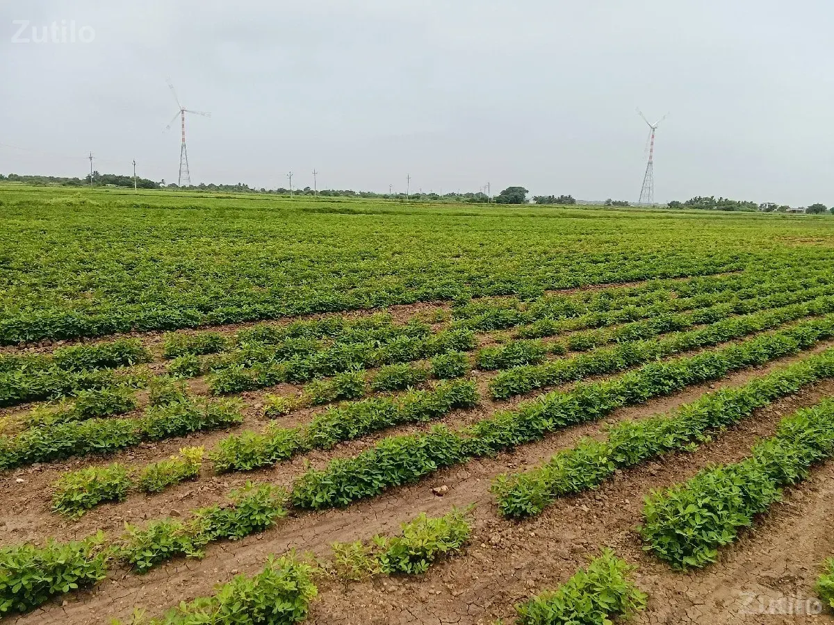 khety ni jamin 15 vigha - Land & Plots - Rajpipla - Image 2