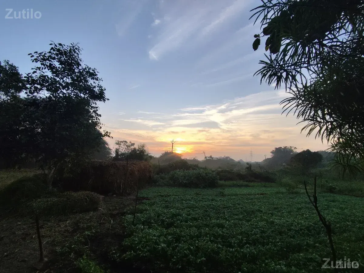 વાડી વેચવાની છે....... - Land & Plots - Mandvi - Image 2