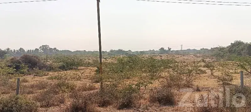 Residential Plot for Sale in Mundra - Land & Plots - Mundra - Image 2
