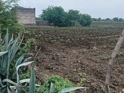 Rajkot Fertile Agricultural Land for Sale Rajkot Fertile Agricultural Land for Sale