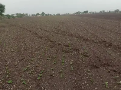 જમીન જમીન