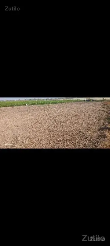 Jamin che 2.5 Vishal ne 2 gutha - Land & Plots - Bhanvad - Image 3