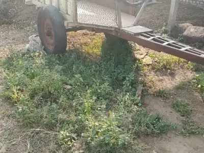 Heavy Duty Iron Farm Cart Trailer