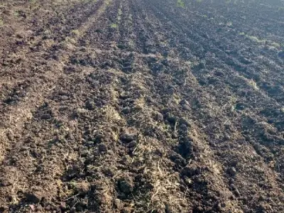 Fertile Agricultural Land for Sale Fertile Agricultural Land for Sale