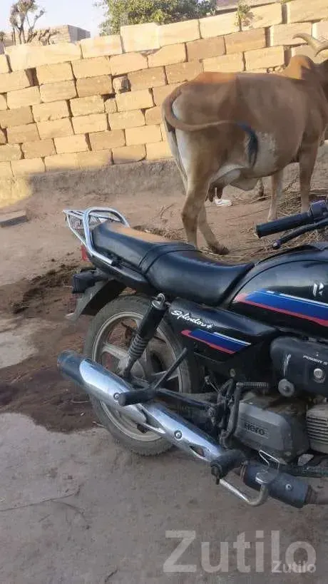 Hero Splendor Plus 2024 Bike - બાઇક્સ - હળવદ - Image 3