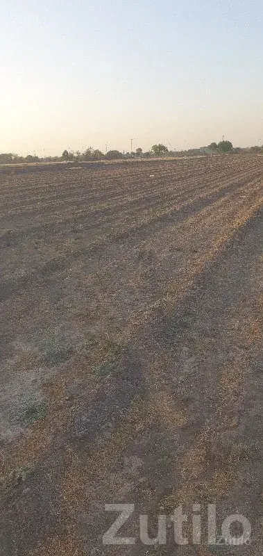 Mota Gunda Farmland Plot, Khambhalia - જમીન અને પ્લોટ - ખંભાળિયા - Image 2