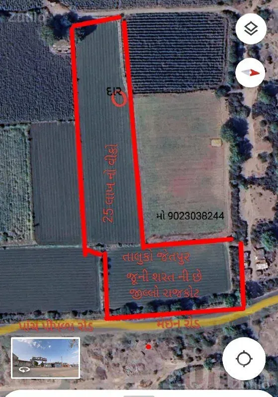 Agricultural Land Plot Near Gondal Road - જમીન અને પ્લોટ - ગોંડલ - Image 2