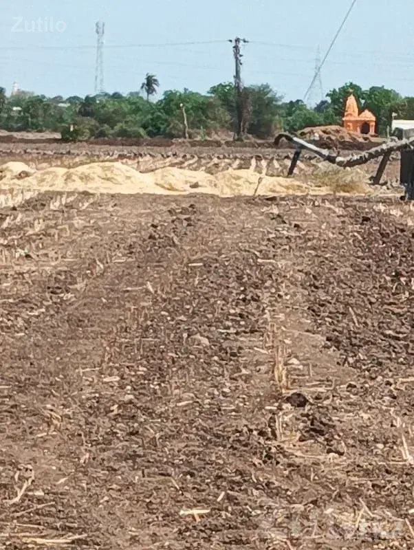 Fertile Open Agricultural Land Khambhalia - જમીન અને પ્લોટ - ખંભાળિયા - Image 2