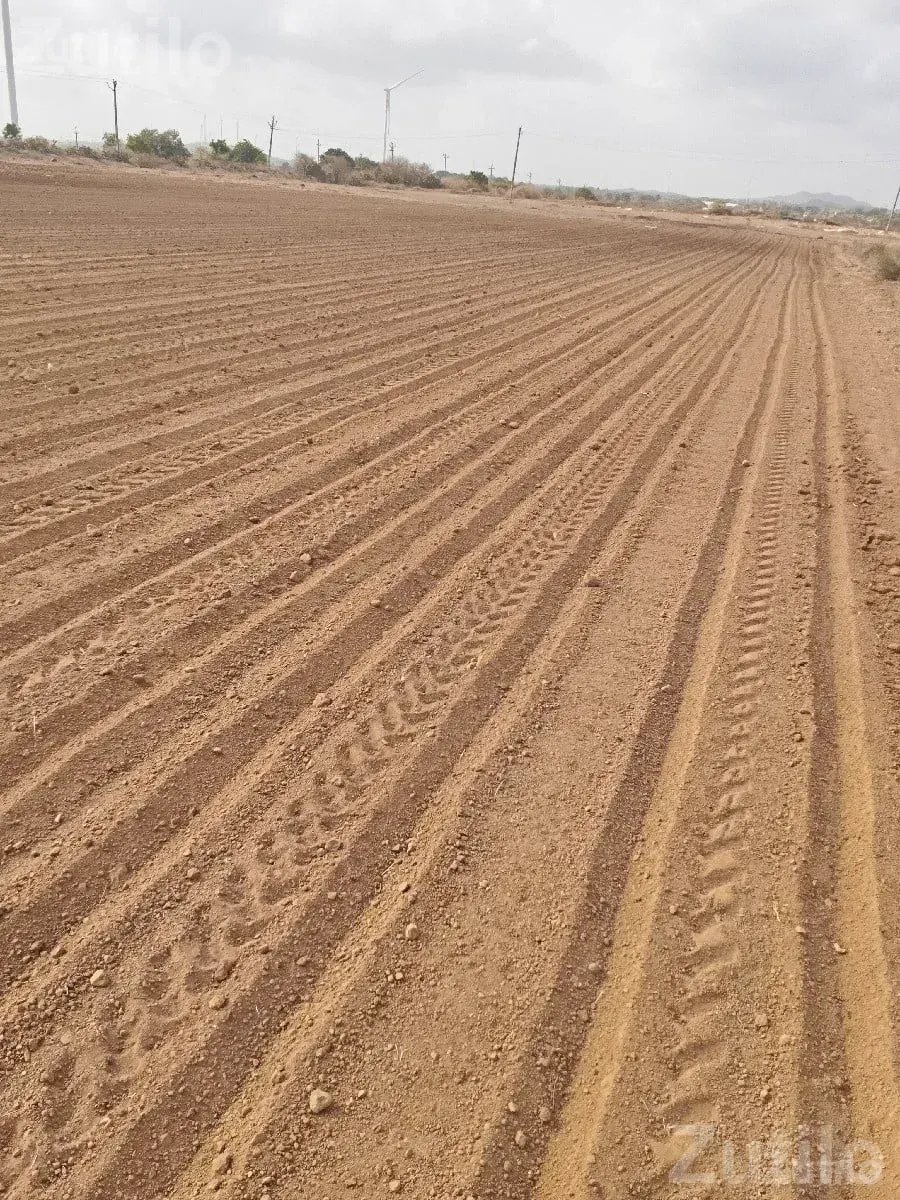 40 Vigha Agricultural Land on Share Basis - જમીન અને પ્લોટ - લાલપુર - Image 2