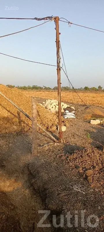 Agricultural Land Plot in Kodinar - Land & Plots - Kodinar - Image 2