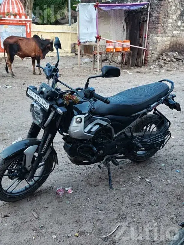 2025 Bajaj Freedom Petrol CNG Bike - બાઇક્સ - લીંબડી - Image 4