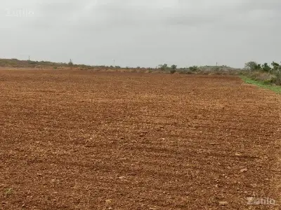 જમીન વેચવાની છે જમીન વેચવાની છે