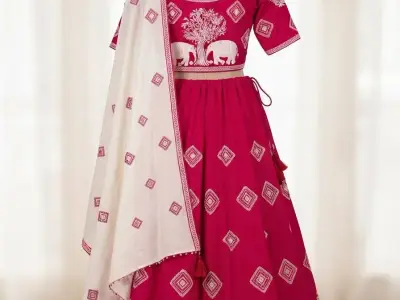 Chaniya Choli Chaniya Choli